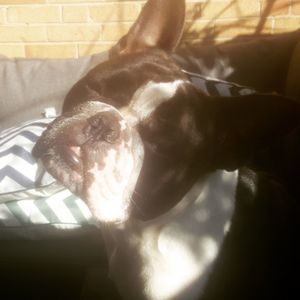 Meet your Posher, Andrea